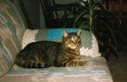 Chrystal sitting pretty